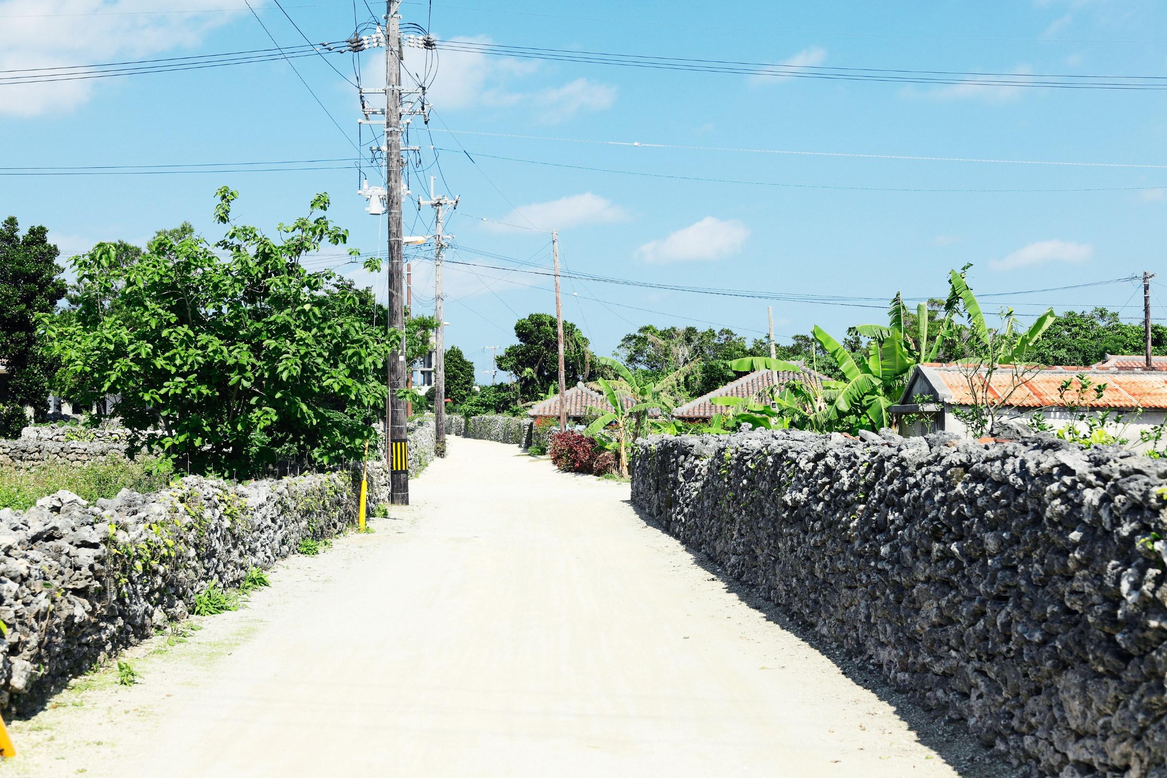 taketomi island (3).webp